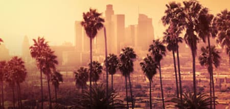 Palm trees silhouetted against a golden sunset with downtown Los Angeles skyscrapers in the distance.