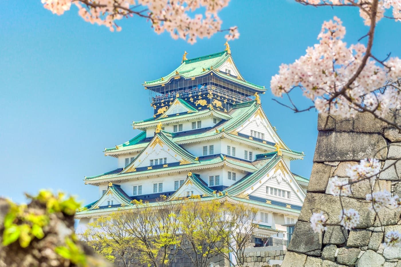 Historic Osaka Castle with green roof and white walls, surrounded by pink cherry blossoms.